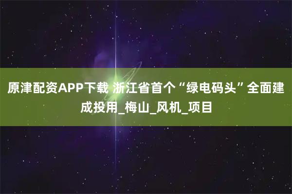 原津配资APP下载 浙江省首个“绿电码头”全面建成投用_梅山_风机_项目