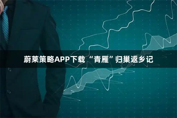 蔚莱策略APP下载 “青雁”归巢返乡记