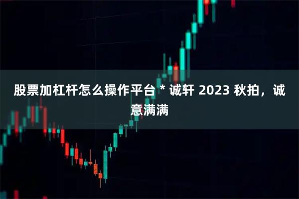 股票加杠杆怎么操作平台 * 诚轩 2023 秋拍，诚意满满