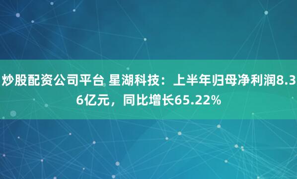 炒股配资公司平台 星湖科技：上半年归母净利润8.36亿元，同比增长65.22%