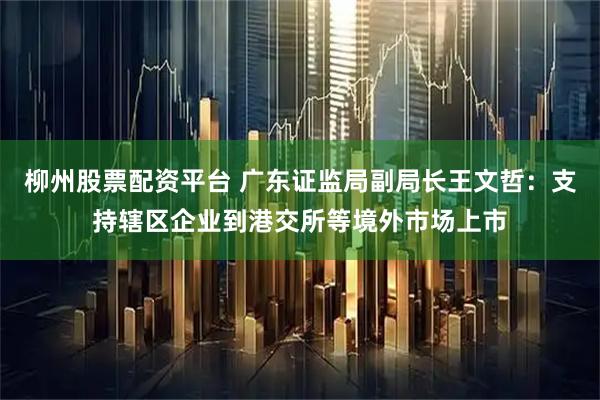 柳州股票配资平台 广东证监局副局长王文哲：支持辖区企业到港交所等境外市场上市